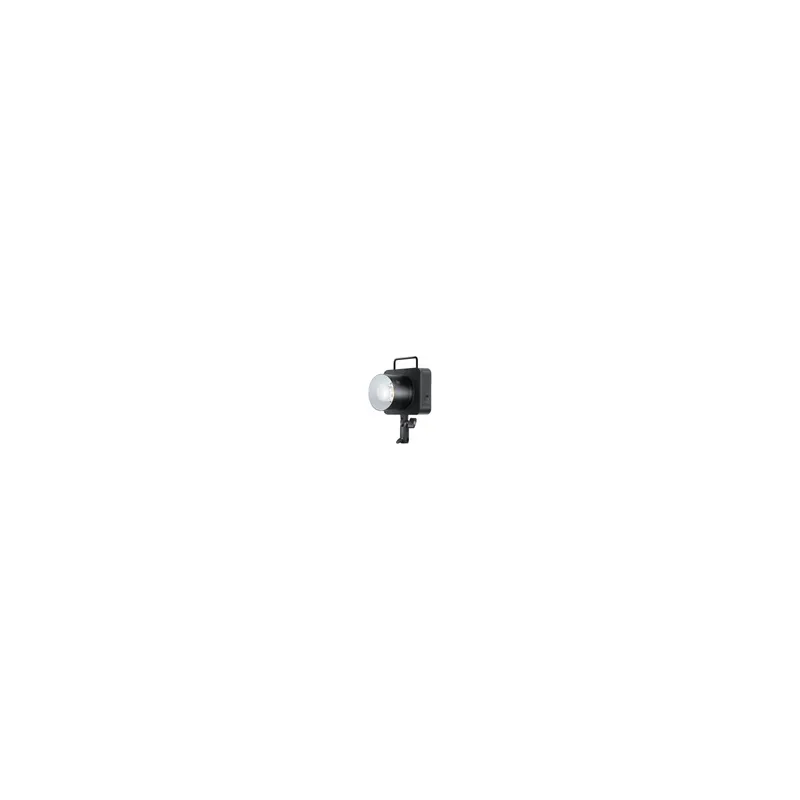 Neewer Q4 Flash with Battery